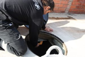 Trabajos de paleta